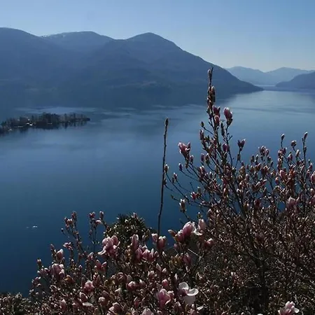 Apartament Casa Leula 2 1-2 Zimmerwohnung By Interhome *